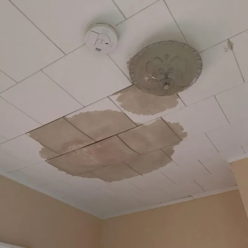 Ceiling Water Damage Repair in De Baca County, NM