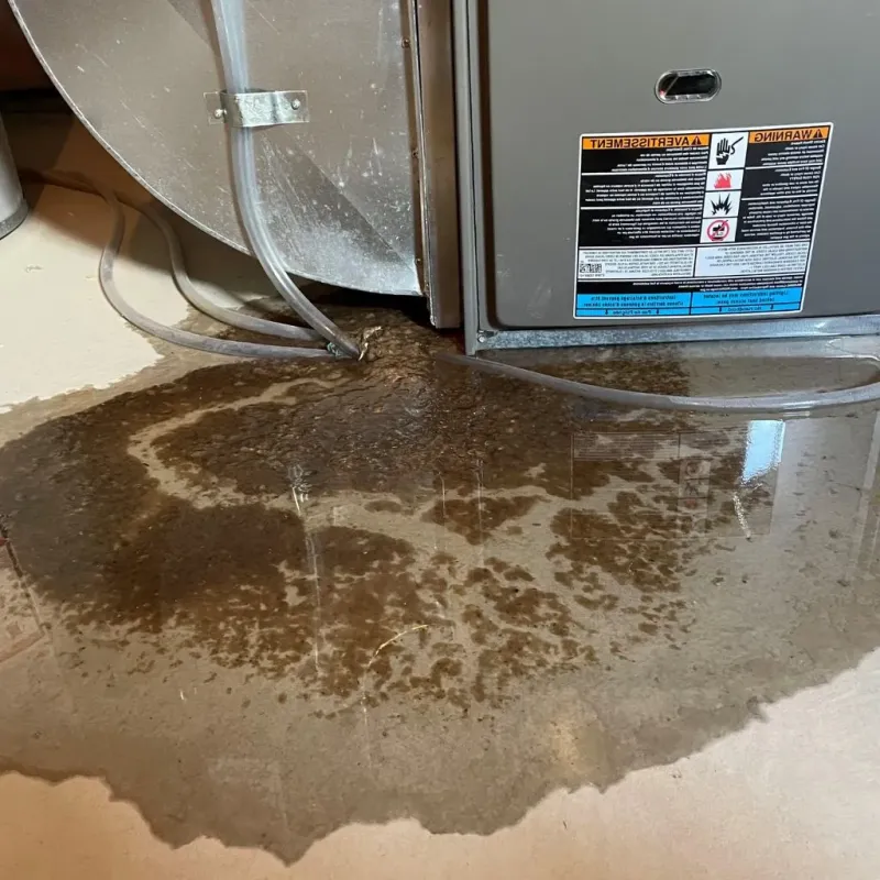 Pipe Burst and Leak Restoration in De Baca County, NM