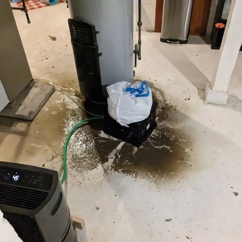 Sewage Backup Cleanup Service in De Baca County, NM